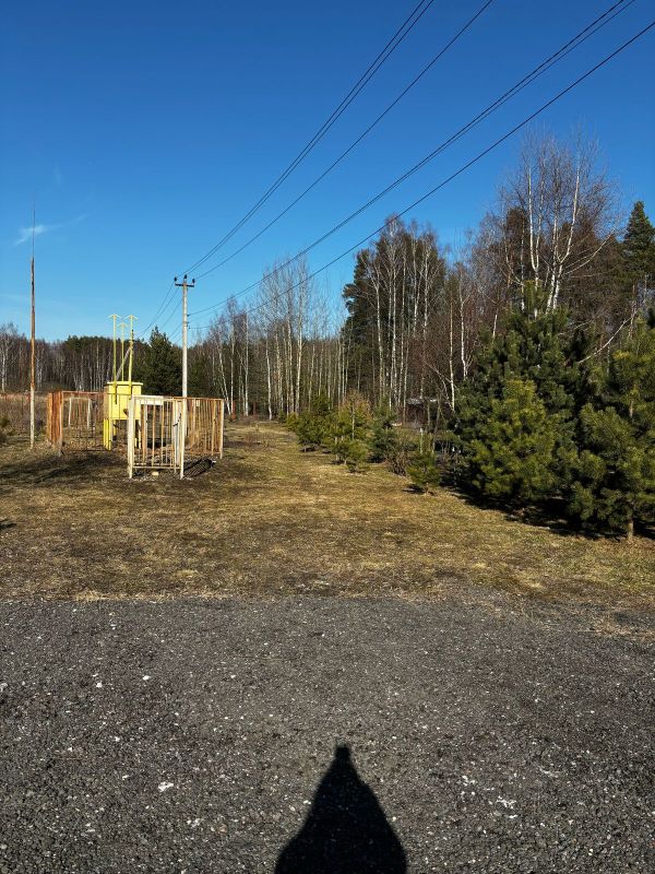Московская обл., Богородский г.о., ДНП Приозёрное Щёлковское шоссе, 29 км, Участок 14,5 сот. (СНТ, ДНП) — изображение 4